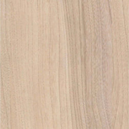 Rearo Tradeline Baron Elm – Matte HPL Wet Wall Panel (2420 × 1200 × 11mm)