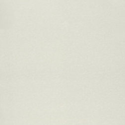 Rearo Tradeline Pearlescent White – Gloss HPL Wet Wall Panel (2420 × 1200 × 11mm) view 1